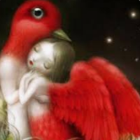 dibujo de la portada un hombre pajaro abraza una mujer con alas en metamorfosis