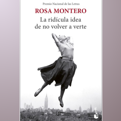 la ridicula idea de no volver a verte